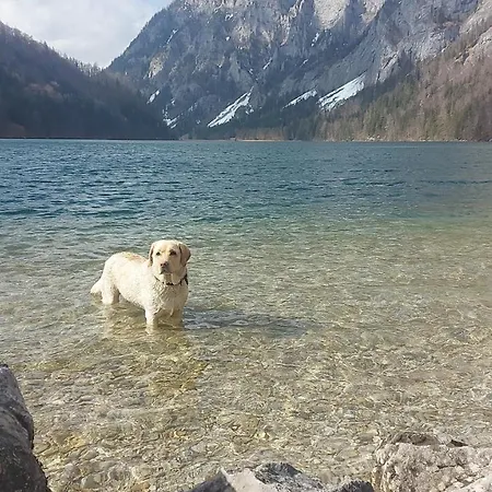 Auszeit Steiraland 6 Mit Ueberdachter Terasse Schoenen Garten Und Kostenlosen Parkplatz