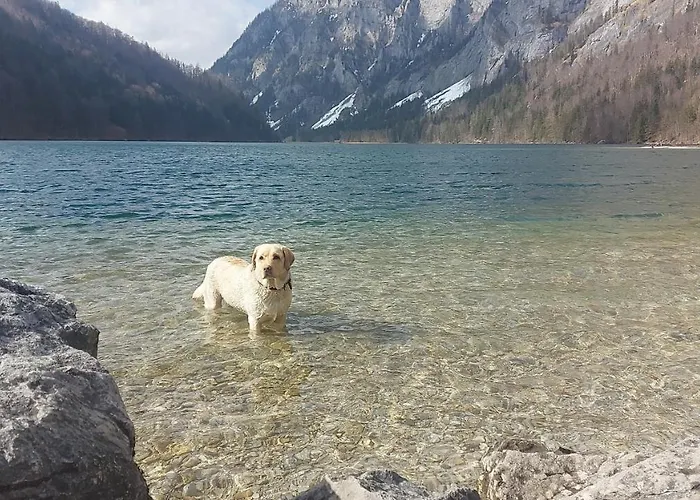 Auszeit Steiraland 6 Mit Ueberdachter Terasse Schoenen Garten Und Kostenlosen Parkplatz